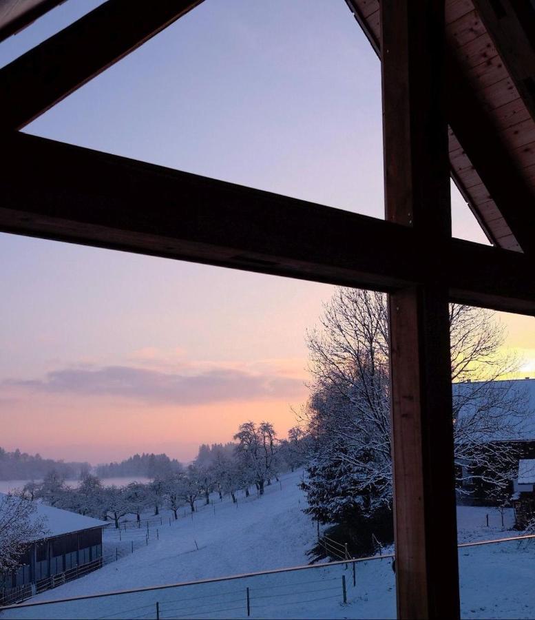 Trautesheim Ferienwohnungen Wangen im Allgaeu Ngoại thất bức ảnh