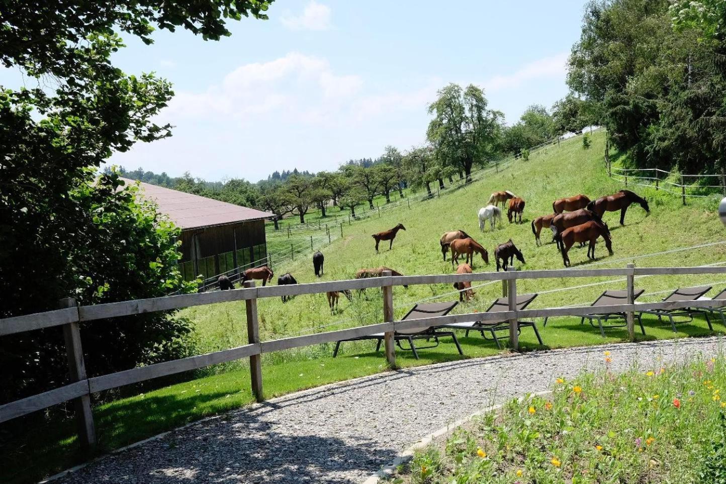 Trautesheim Ferienwohnungen Wangen im Allgaeu Ngoại thất bức ảnh